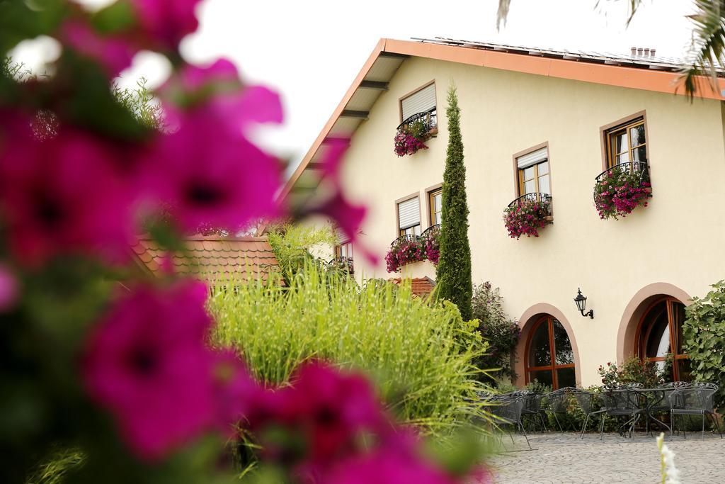 Villa Hochdoerffer Gaestehaus Landau in der Pfalz Luaran gambar